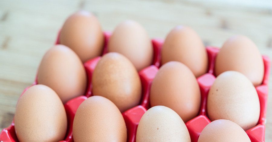Ученые: нужно съедать каждый день хотя бы одно яйцо