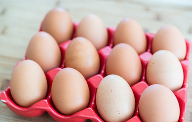 Ученые: нужно съедать каждый день хотя бы одно яйцо
