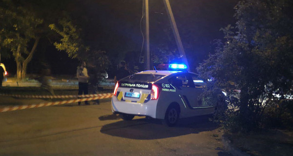 Покушение на активиста Сергея Стерненко: задержан второй нападавший