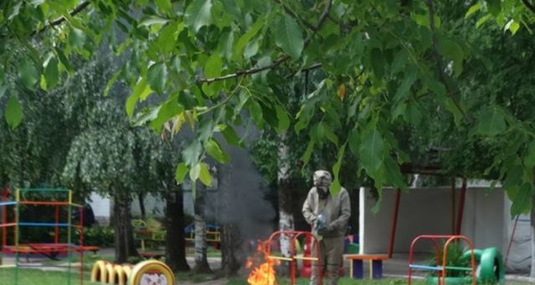 В Украине детские площадки и жилые дома заполонили шершни