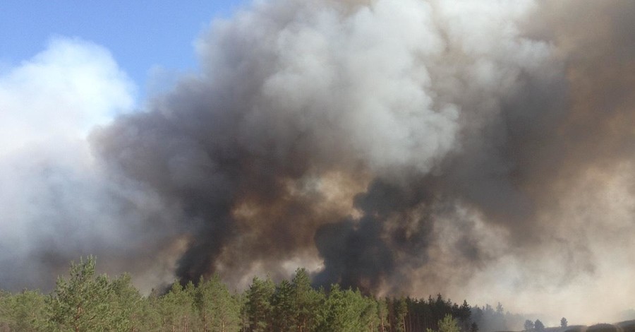 Пожар в лесу Херсонской области потушили