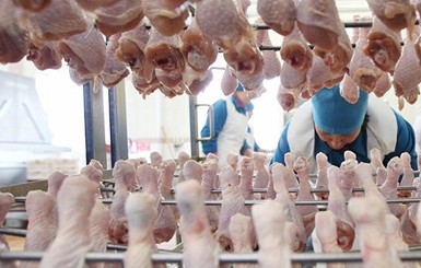 ГПУ задержала владельцев агрохолдинга за неправильную утилизацию куриных тушек 