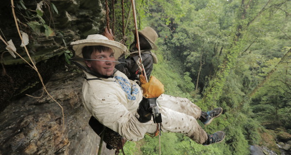 Дмитрий Комаров: 