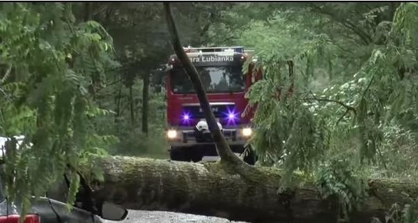 В Польше во время шторма упавшее дерево убило заместителя мэра города