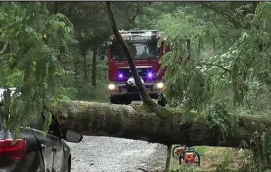 В Польше во время шторма упавшее дерево убило заместителя мэра города