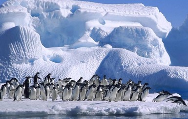 Украину вернули в Научный Комитет по антарктическим исследованиям 