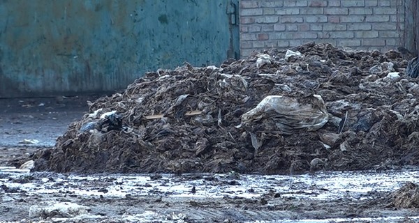 Заводы по утилизации органических отходов не справляются со своими задачами, – СМИ
