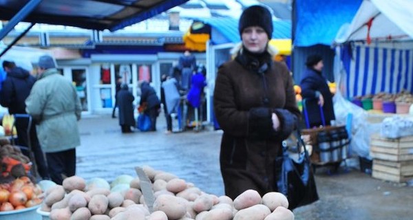 Два урожая картошки – что позволяет новый климат выращивать в Украине