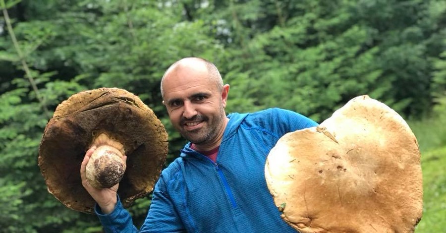 На Прикарпатье собирают трехкилограммовые грибы-гиганты