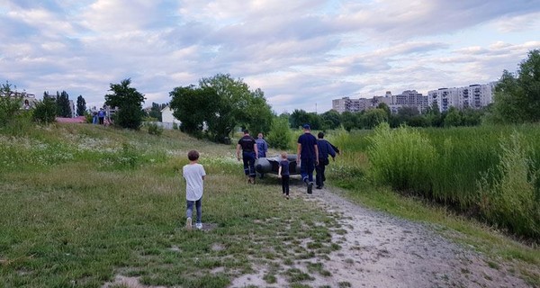 В Ужгороде жители и спасатели второй день ловят удирающего лебедя