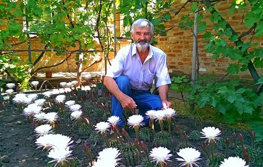 В Бердянском огороде зацвели более полутысячи цветков кактуса