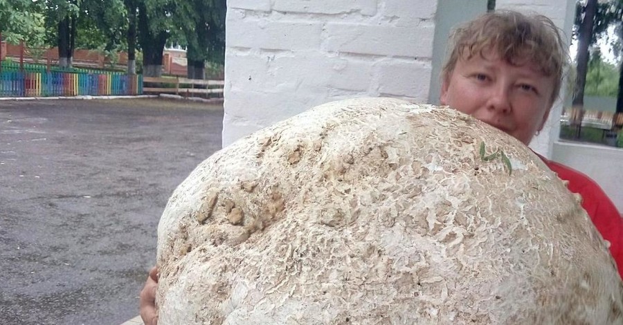 Под Киевом нашли гриб весом почти 18 кило