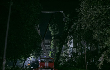 В Киеве тополь упал на пятиэтажку, повредив крышу дома и балконы