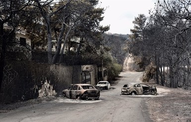 Причиной лесных пожаров в Греции могли быть поджоги
