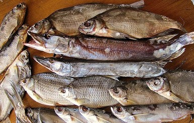 Департамент здравоохранения попросил отказаться от рыбы и ветчины из-за ботулизма