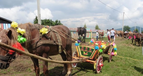 В Карпатах поставили рекорд на самый длинный транспорт