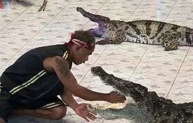 Крокодил схватил дрессировщика за руку во время представления в Таиланде
