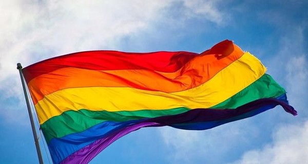 В Питере задержали более 29 человек за ЛГБТ-акцию