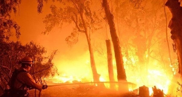 В Украине объявили наивысшую пожарную опасность