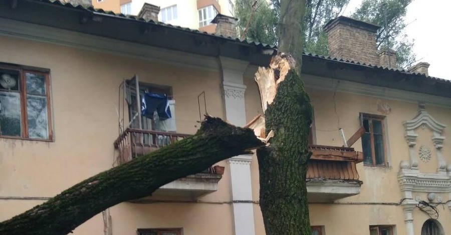 Непогода в Киеве: 200 поваленных деревьев и 5 электроопор