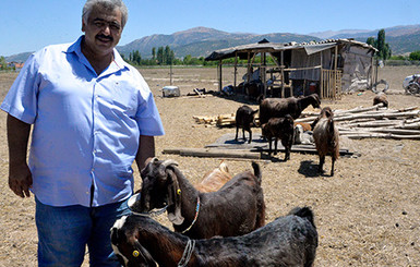 Турецкий клуб продал футболистов, чтобы купить коз и накормить оставшихся игроков 