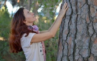 Деревья-целители и деревья-вампиры: какие стволы обнимать, чтобы быть здоровым