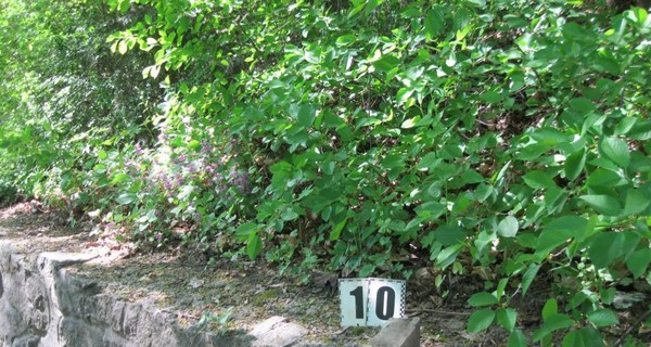 Мужчина, убивший на улице в Умани 2 людей и покалечивший 5, накачался наркотиками