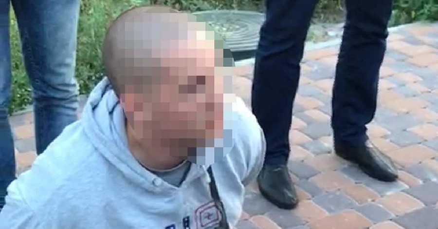 Задержан парень, напавший на полицейского во время протеста против застройки в Вишневом