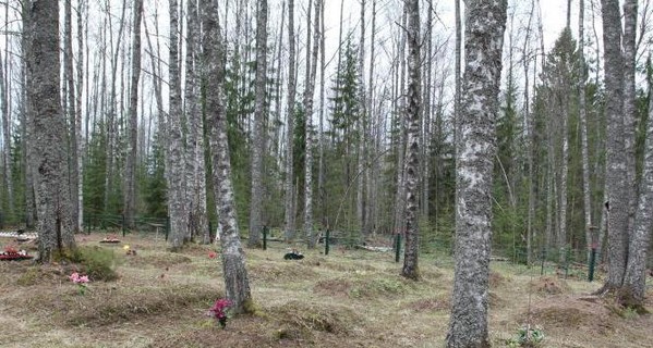 В России нашли останки около 400 солдат вермахта