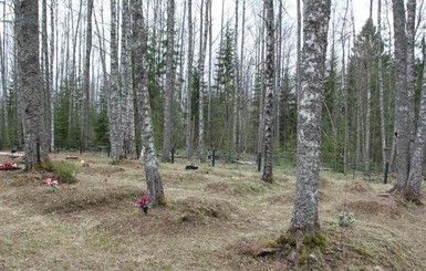 В России нашли останки около 400 солдат вермахта