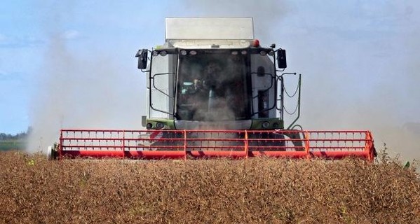 В Украине собрали 34,3 миллиона тонн зерновых и зернобобовых