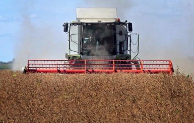 В Украине собрали 34,3 миллиона тонн зерновых и зернобобовых