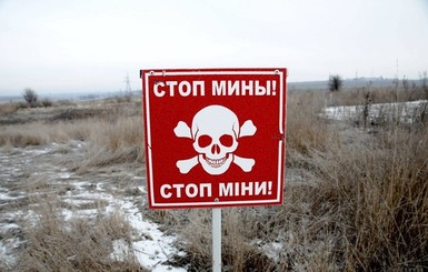 Минобороны: в Донбассе используют мины, запрещенные Оттавской конвенцией