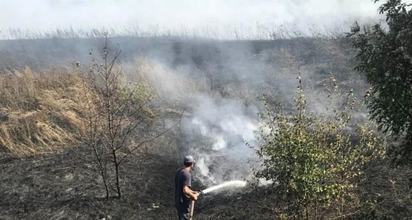 Пожар в лесу Харьковской области тушат 140 спасателей, самолет и вертолет