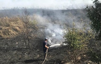 Пожар в лесу Харьковской области тушат 140 спасателей, самолет и вертолет
