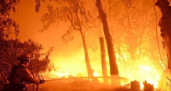 В Украине снова объявлен высокий уровень пожарной опасности