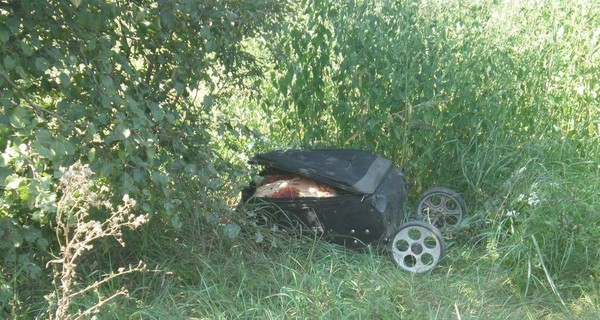 Под Киевом домашний пес нашел чемодан с расчлененным телом