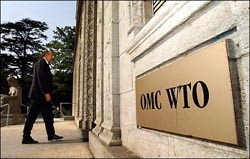 Через месяц Украина станет полноправным членом ВТО 