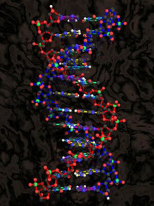 Экспертиза ДНК может спасти от пожизненного заключения 