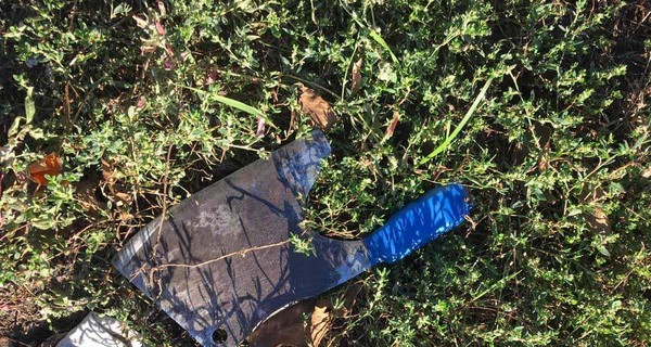 Житель Синельниково на глазах у детей зарубил жену топором