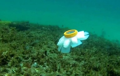 В США флот роботов-медуз наблюдет за коралловым рифом 