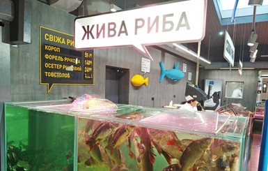 Как купить живую рыбу и не отравиться