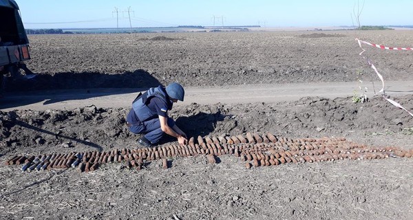 В Черкасской области археологи обнаружили сотни боеприпасов  Второй мировой войны 