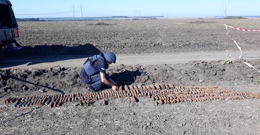 В Черкасской области археологи обнаружили сотни боеприпасов  Второй мировой войны 
