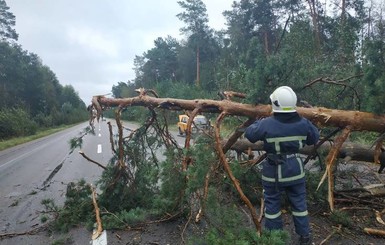 Непогода в Украине: ветер валил деревья и ломал балконы, погиб мужчина