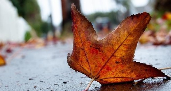 Сегодня днем, 3 октября, в Украине пройдет небольшой дождь
