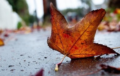 Сегодня днем, 3 октября, в Украине пройдет небольшой дождь