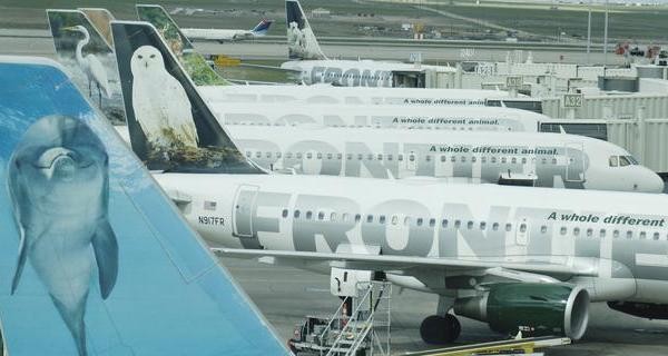 Пассажирка Frontier Airlines пронесла на борт белку, чтоб было не страшно лететь