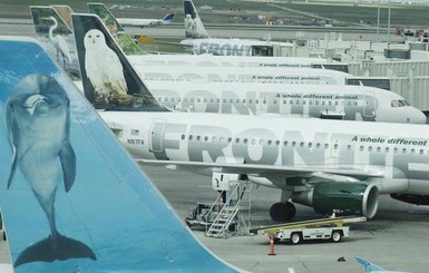 Пассажирка Frontier Airlines пронесла на борт белку, чтоб было не страшно лететь