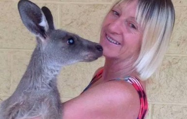 В Австралии старики отбивались от кенгуру лопатами и метлами